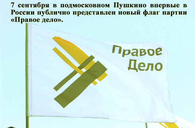 Флаг право. Партии правое дело флаг. Современный флаг партии правое дело. Флаги правых партий. Партия правое дело Дата основания.