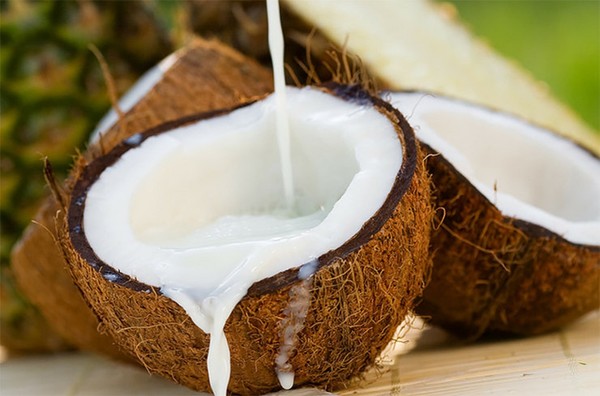 Чем можно заменить кокосовое молоко?

Кокосовое молоко продается в магазинах консервированным в жестяных банках, но купить его можно не везде и не всегда, к тому же некоторым людям не нравится запах и привкус кокоса. Поэтому в соусах кокосовое молоко можно заменять нежирными (10–15%) сливками, в десертах – обычным молоком. Если хотите придать кокосовый аромат выпечке, подойдет и кокосовая стружка.

Следует отличать кокосовое молоко от кокосовой воды. Кокосовую воду получают из зеленого, еще незрелого ореха. Ее часто называют кокосовым соком. Кокосовая вода прозрачна и имеет кисло-сладкий вкус, отлично утоляет жажду. А кокосовое молоко образуется при созревании кокосового ореха: кокосовая вода насыщается жирами и приобретает более густую консистенцию.