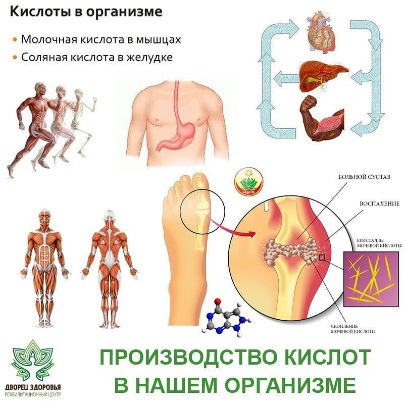 Молочная кислота в мышцах после тренировки. Молочная кислота в организме. Кислоты в организме человека. Молочная кислота в теле. Скопление молочной кислоты.