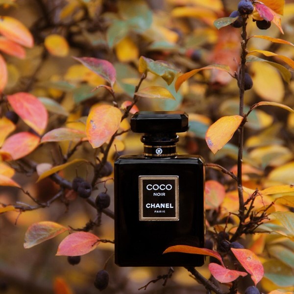 🔸 Coco Noir от Chanel:
Coco Noir - это дыхание прошлого, стиль Барокко, романтика осенней ночи. Начальные цитрусовые ноты подобны отблескам ночных огней на водной глади. Лепестки цветов придают аромату элегантность и соблазнительность. Темные, страстные аккорды дерева и смол согревают. А мягкая мускусная вуаль добавляет нежности. Coco Noir обладает необъяснимой магией. Пограничный образец фрутчули, но странно приятный, с достаточно тёмными амброво-древесными аккордами, которые удачно приглушают фруктовую сладость.
Что ж, Noir прекрасен...
Coco Noir принадлежит к группе восточные древесные.
Верхние ноты: Грейпфрут, Бергамот и Апельсин;
Средние ноты: Роза, Герань, Жасмин, Нарцисс и Персик;
Базовые ноты: Пачули, Сандал, Олибанум, Бобы тонка, Ваниль, Белый мускус, Гвоздика (пряность) и Бензоин.