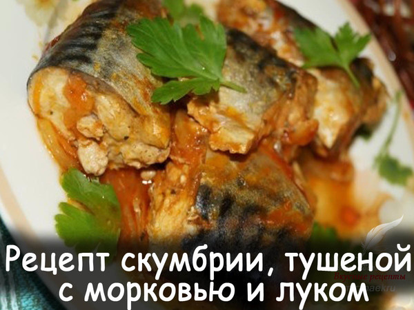 Скумбрия - очень пикантная рыбка, из которой можно приготовить очень много вкусных блюд. Хочу предложить Вам рецепт скумбрии, тушеной с луком и морковью. Получается лёгкое и вкусное блюдо. На гарнир советую отварной рис. 
Рецепт смотрите на сайте - http://mirznaek.ru/dir/13-1-0-1087