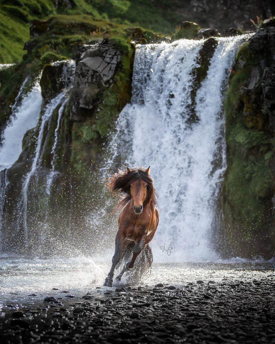 Годы как вода бегут. Пейзаж с лошадьми. Лошади и водопад. Лошадь на фоне водопада. Конь у водопада.