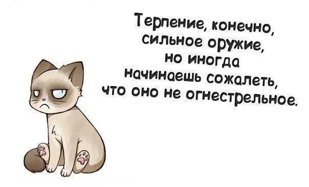 Терпение картинки смешные, осень для детского