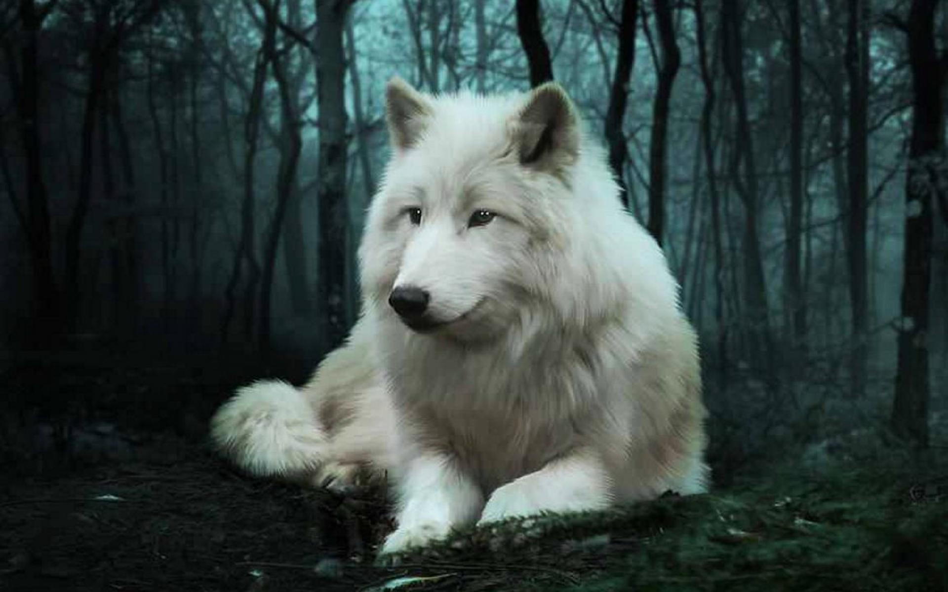 Огромный белый волк