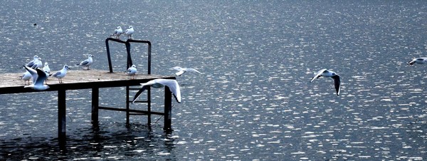 Македония. Озеро Охрид. Самое глубокое и древнее озеро на Балканах. И в тоже время главный курорт Македонии.